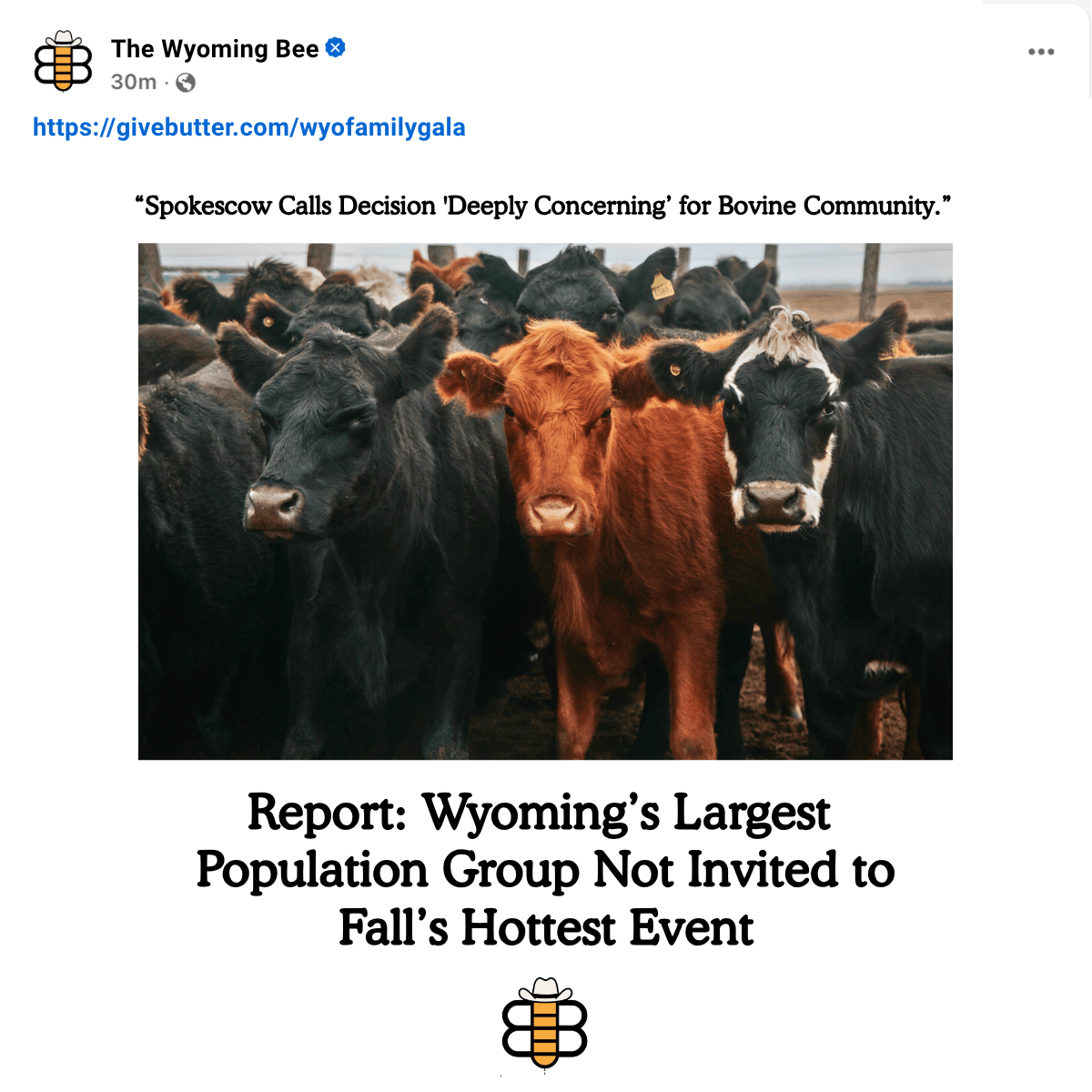 Parody news post from The Wyoming Bee showing a herd of cattle, headlined Report: Wyoming’s Largest Population Group Not Invited to Fall’s Hottest Event.